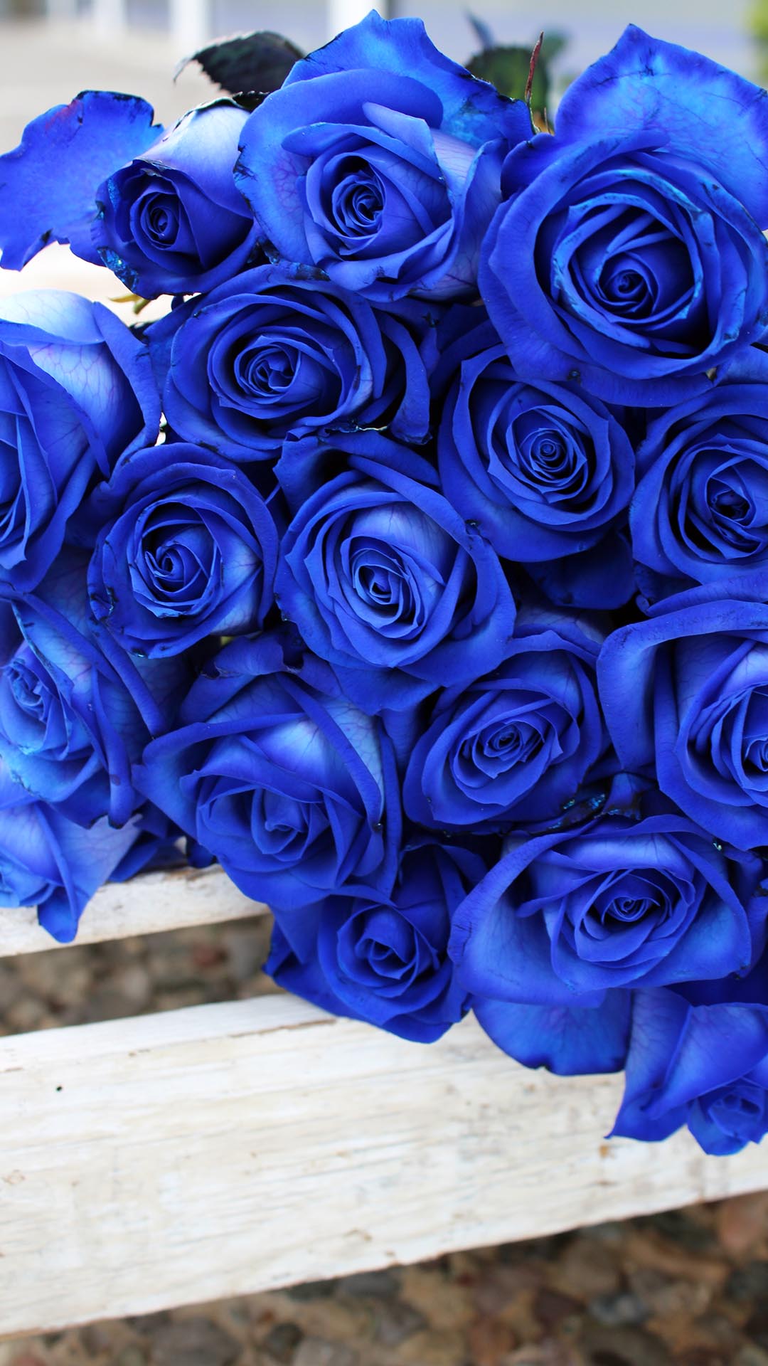 Στείλτε μία όμορφη ανθοδέσμη από μπλε τριαντάφυλλα Εκουαδόρ 70εκ. Διαλέξτε ποσότητα. Μπορείτε να το παραγγείλετε : Για παράδοση σε 5 ημέρες