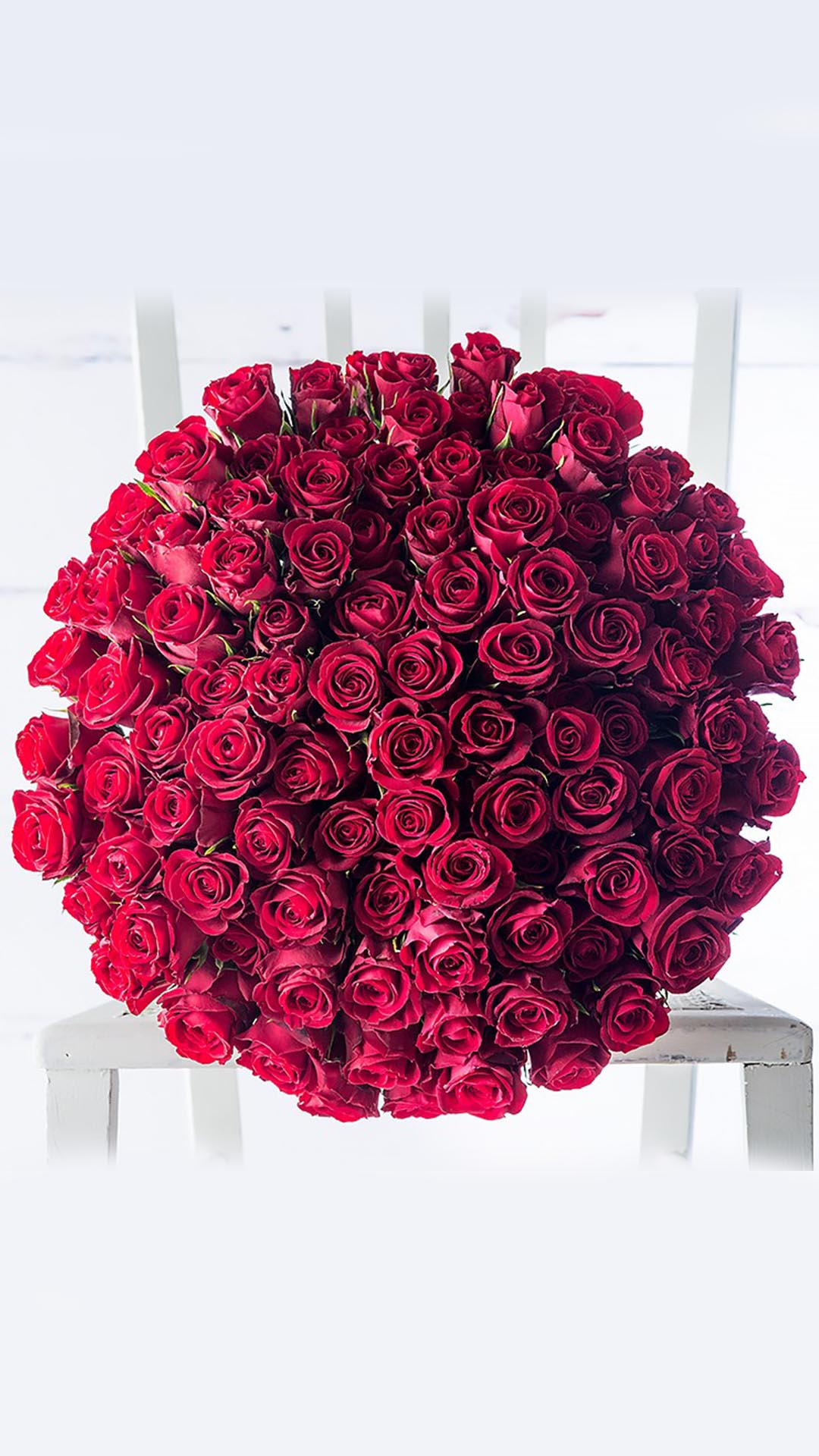 Ανθοδέσμη από 100 κόκκινα τριαντάφυλλα αρίστης ποιότητας. Αν έχετε στο μυαλό σας μια αγκαλιά τριαντάφυλλα, τότε αυτή η ανθοδέσμη, είναι η ιδανική επιλογή! Μπορείτε να το παραγγείλετε : Για παράδοση σε 1 ημέρα